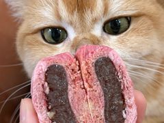 -北京稻香村(广安门店)