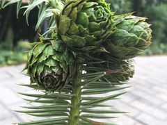 -敬亭山风景名胜区