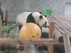 -西安秦岭野生动物园