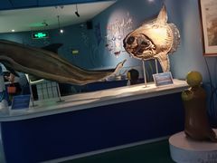-烟台海昌鲸鲨海洋公园
