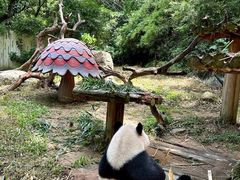 -广州长隆野生动物世界