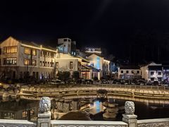 -九华山聚龙大酒店
