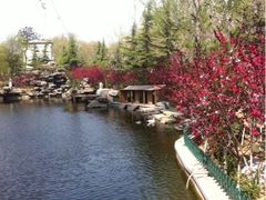 iphone_upload_pic-山东大厦