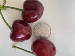 -大连果菜批发市场