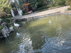 -广富林宰相府酒店·水云间