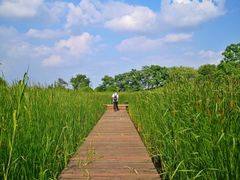 -梁鸿国家湿地公园