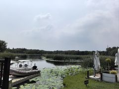-同里国家湿地公园