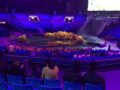 -珠海横琴长隆《卡卡虎奇遇记》