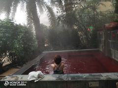 -仁爱团泊湖温泉中心