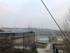 -五龙山野生动物王国