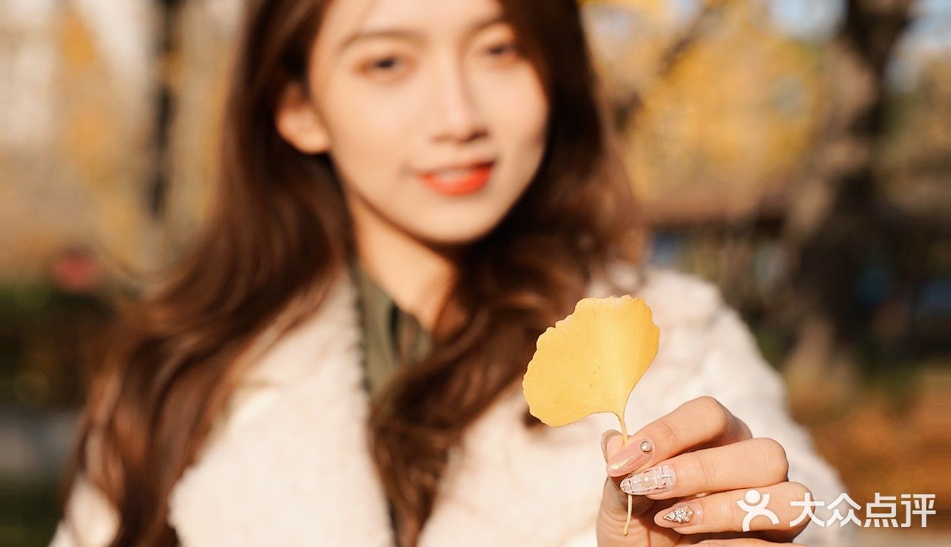 抓住秋天的小尾巴🍂银杏的黄也太温柔辣！