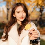 抓住秋天的小尾巴🍂银杏的黄也太温柔辣！