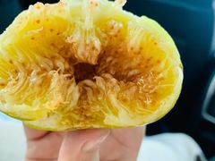 -韩妹鱼庄·泸定老字号(泸定店)