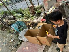 -马陆小张葡萄园农家乐