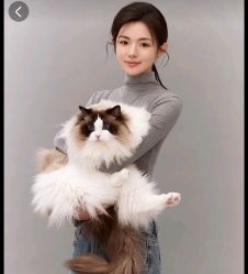 点击看大图 -鼎极摄影(世纪金源店)