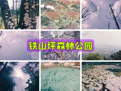 -铁山坪森林公园