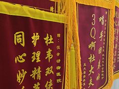 -恒幸动物医院·急重症转诊中心·神经内外科·CT核磁