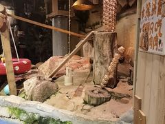 -正佳雨林生态植物园