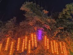 -国际非物质文化遗产博览园