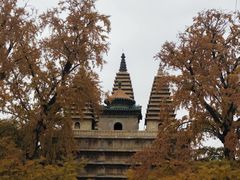 -北京石刻艺术博物馆(五塔寺)