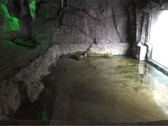 iphone_upload_pic-南京汤山紫清湖生态旅游温泉度假区