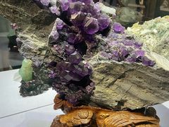 -湖南省地质博物馆