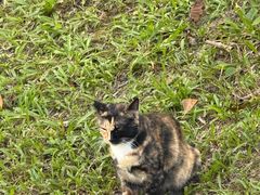 -柳喜辣·烧烤酒局(跃进总店)