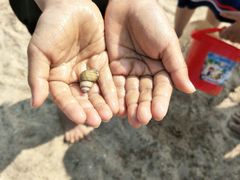 -瑶湖郊野森林公园