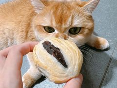 -番禺宾馆丽苑厅