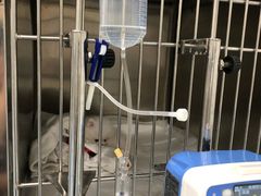 -瑞派·关忠动物医院·异宠专科·犬猫肿瘤·皮肤专科(望京店)