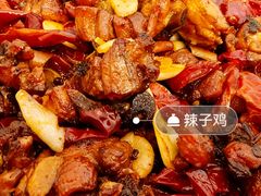 -柴窝堡22号辣子鸡·传承新疆菜