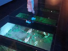 -上海崧泽遗址博物馆