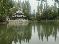-习家池