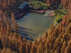 -黄海国家森林公园