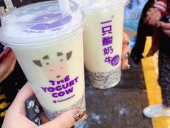 -一只酸奶牛(八一路店)