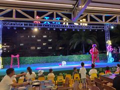-渔家火锅·海鲜自助餐·演艺(亚龙湾天域酒店)