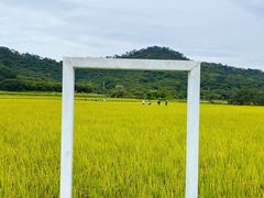 -风云岭森林公园