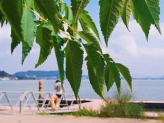 -东钱湖旅游度假区