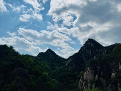 -大岭沟猕猴桃谷风景区