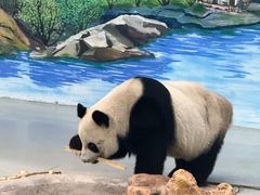-柳州市动物园