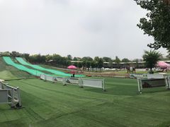 -北京鹿世界主题园