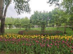 -长春公园(普阳街道)