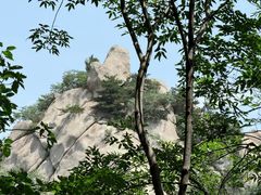 -六里坪国家森林公园