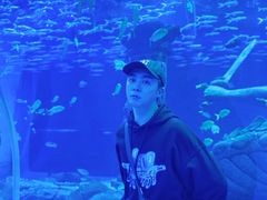 -波塞冬旅游度假区