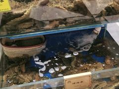 -新海渔港·胶东海鲜家常菜·家宴(奥体中心店)