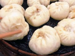 酱肉包-舒小笼松针小笼包