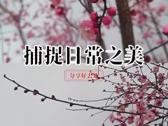 -安方塔