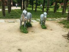 -咸阳湖景区-古渡公园