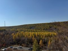 -塞罕坝国家级自然保护区