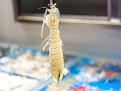 -格力东澳大酒店-蓝色海岸餐厅